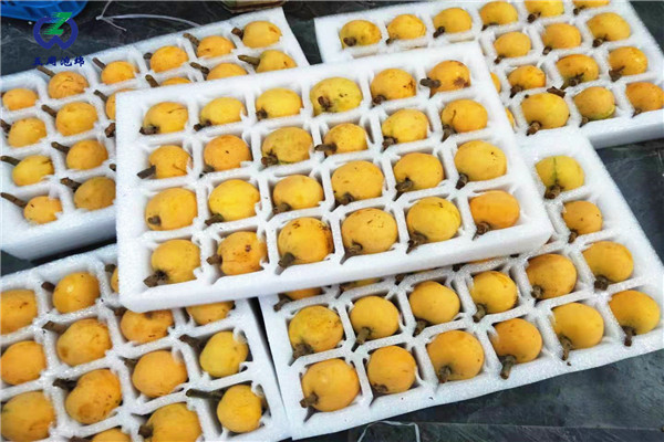 定做枇杷托的材料是環(huán)保的嗎？