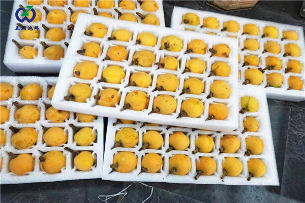 水果內(nèi)托定制材料如何選擇？